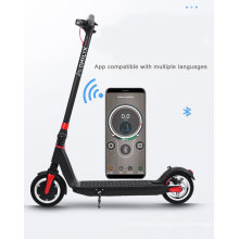 PRO Battery Citycoco Snow Gas Motor Electronic Water Vespa Petrol Folding Snow Scooter